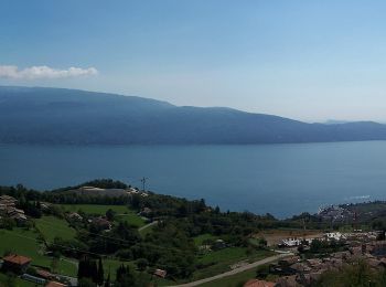 Tour Zu Fuß Toscolano Maderno - Cresta sud Pizzocolo - Photo