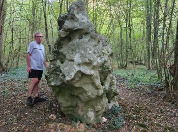 Randonnée Marche Vaudeurs - vaudeurs - Photo