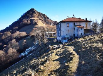 Randonnée A pied Côme - (SI D10N) Como (Monte Olimpino) - Rifugio Prabello - Photo