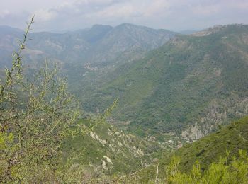 Trail On foot Airole - Anello del Gramondo - Photo