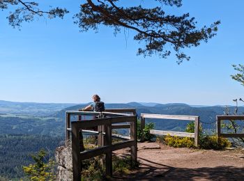 Tocht Stappen Taintrux - suuntoapp-Hiking-2024-05-10T08-54-36Z - Photo