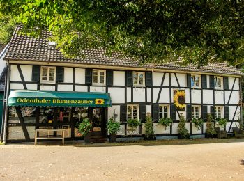 Tour Zu Fuß Odenthal - Odenthal Rundweg A4 - Photo