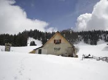 Tour Schneeschuhwandern Engins - telesiege la quoi raquette le feneys - Photo