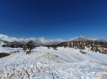Trail Snowshoes Puy-Saint-Vincent - les têtes - Photo