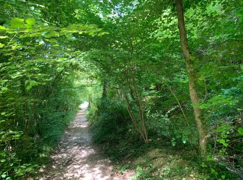 Trail Walking Amfreville-sur-Iton - Les sentiers de laiton - Photo