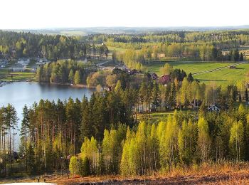 Trail On foot Viitasaari - Savivuoren luontopolku - Metsän tuulahdus - Photo