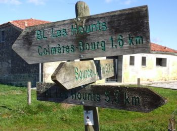 Tour Zu Fuß Coimères - Les Hounts : boucle locale - Photo