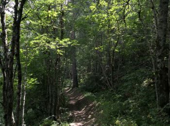 Trail Walking Puy-Saint-Vincent - Le Villaret La combe noire - Photo