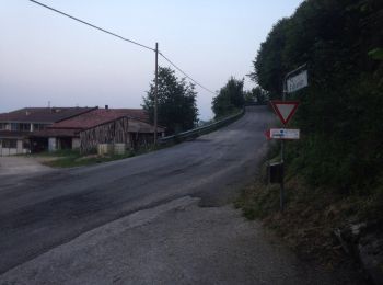 Tour Zu Fuß Chiampo - Sentiero ciclopedonale Sassimori - Photo