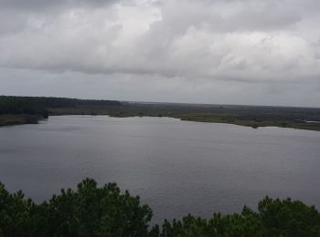 Tour Wandern Lacanau - casseau - Photo