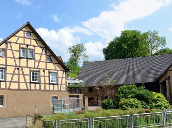 Tour Zu Fuß Bensheim - Rundwanderweg Bensheim Bordmühle 2: Hemsberg-Weg - Photo