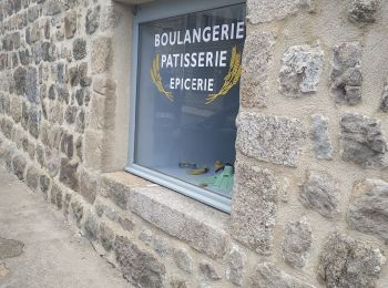Tour Wandern Rozier-Côtes-d'Aurec - le font des dames  - Photo