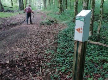Trail Walking Thin-le-Moutier - Froidmont 21 - 07-2022 - Photo