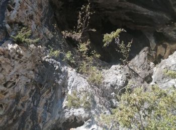 Trail Walking Saint-Léger-du-Ventoux - la crête de la montagne de bluye - Photo