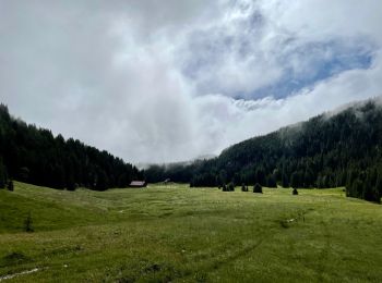 Percorso Orienteering Glières-Val-de-Borne - exp_16 juil. 2021 à 08-45-33 - Photo