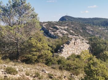 Tocht Stappen Fontjoncouse - Fontjoncouse Saint Victoire  - Photo