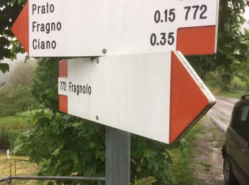 Tocht Te voet Calestano - Calestano - Fragno - Fragnolo - Percorso 773 - Photo