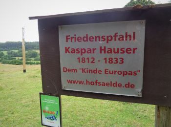 Excursión A pie Ahlefeld-Bistensee - Wanderroute 8: Aschberg - Schoothorster Tal - Photo