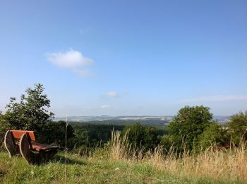 Tour Zu Fuß Wirsberg - Schmetterlingsweg KU 11 - Photo