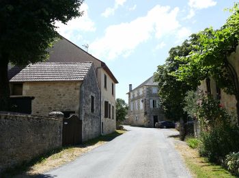 Percorso A piedi Salignac-Eyvigues - Sentier des Fontaines - Photo