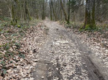 Trail Walking Sillingy - Montagne d’âge par le bord côté NONGLARD - Photo