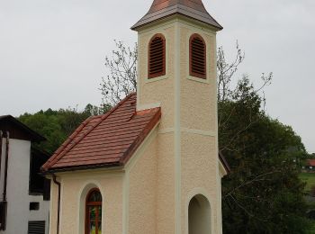 Randonnée A pied Riegersburg - Riegersburgweg - Photo