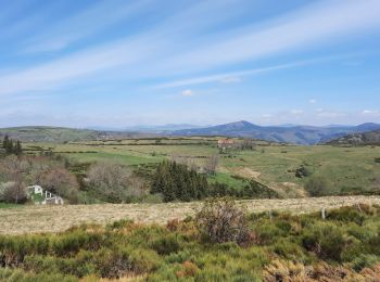 Tour Wandern Mayres - Mayres Chaumiène 12km - Photo