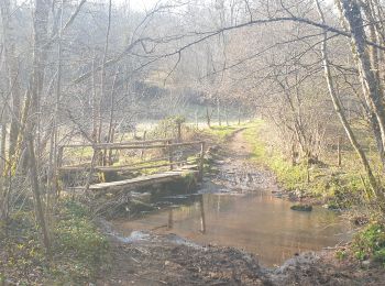 Tour Wandern Écromagny - les epoissets - Photo