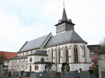 Percorso A piedi Steinwiesen - Schlegelshaider Höhenweg RT 23 - Photo