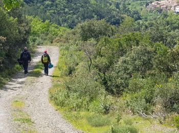 Trail Walking Maisons - 11-Maisons-Mont Tauch-5-05-2019 - Photo