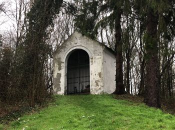 Tocht Stappen Belœil - Dimanche  - Photo