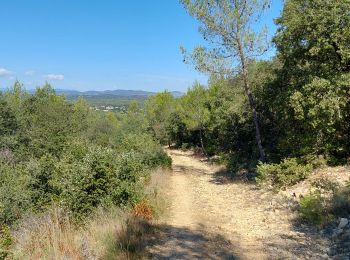 Trail Walking Aspères - tour asperes, st clement - Photo