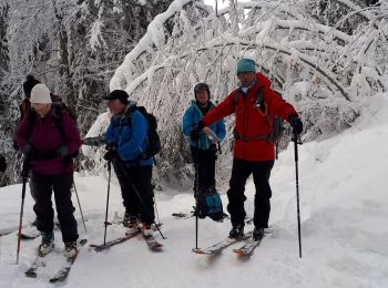 Trail Touring skiing Saint-Pierre-de-Chartreuse - arguille - Photo