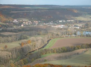 Tour Zu Fuß Neuengönna - w-green-w - Photo