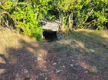 Randonnée V.T.T. Varaire - 9 - Varaire : les dolmens - Photo