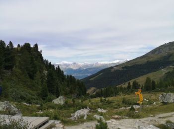Trail Walking Anniviers - weisshorn - Photo
