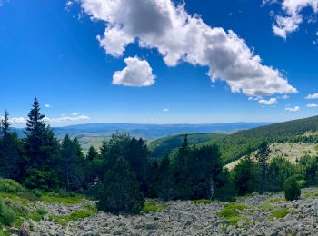 Trail Mountain bike Cubières - TOUR MONT LOZERE - Photo