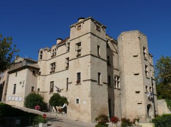 Randonnée A pied Château-Arnoux-Saint-Auban - Belvédère de Saint-Jean - Photo