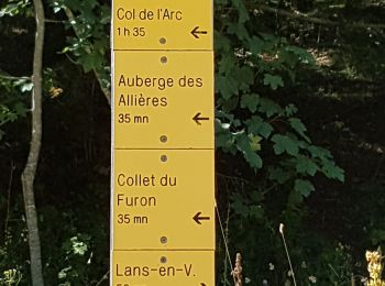 Tour Wandern Lans-en-Vercors - les allieres, COL de l arc, et pic ST Michel - Photo