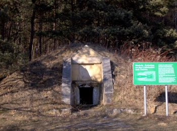 Tour Zu Fuß Sankt Johann in der Haide - Kalorienweg - Photo