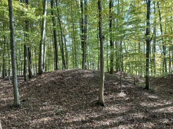 Randonnée A pied Tieschen - Weinbergweg - Photo