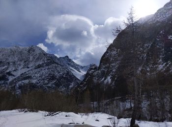 Tour Schneeschuhwandern Vallouise-Pelvoux - refuge pré de Mme Carle 17 03 21 - Photo