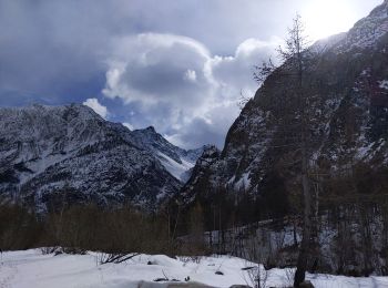 Tocht Sneeuwschoenen Vallouise-Pelvoux - refuge pré de Mme Carle 17 03 21 - Photo