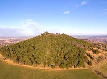 Tour Wandern Romagnat - Saulzet_Chaud_Puy_Giroux_Auzon - Photo