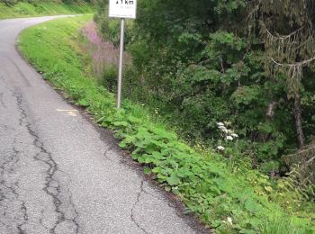 Randonnée Vélo de route Morzine - avoriaz par la joux verte - Photo
