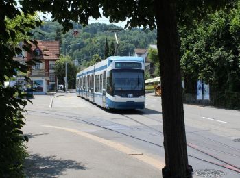 Tocht Te voet Schlieren - Urdorf Station - Feldmoos - Photo
