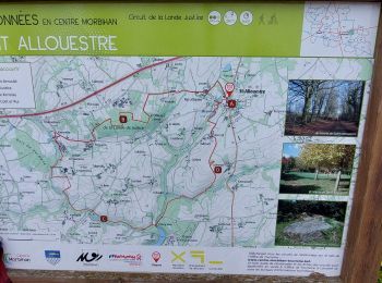 Trail Walking Saint-Allouestre - PR_56_St-Allouestre_AA_01_Circuit1b_De-La-Lande-Justice_20240326 - Photo