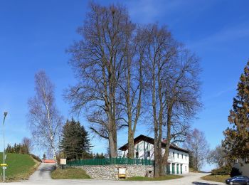 Percorso A piedi Gemeinde Schönbach - Lohnbachfallweg kurz - Photo