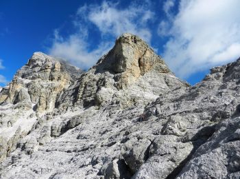 Trail On foot Cortina d'Ampezzo - IT-412 - Photo
