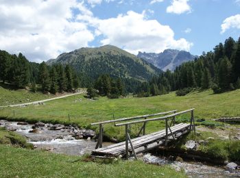 Trail On foot Taufers im Münstertal - Tubre - Via Alpina Red R68 - Photo